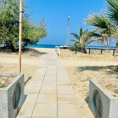 - Rose * Pizzo (Calabria)