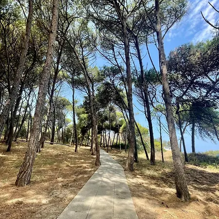 Appartement - Rose Pizzo (Calabria)