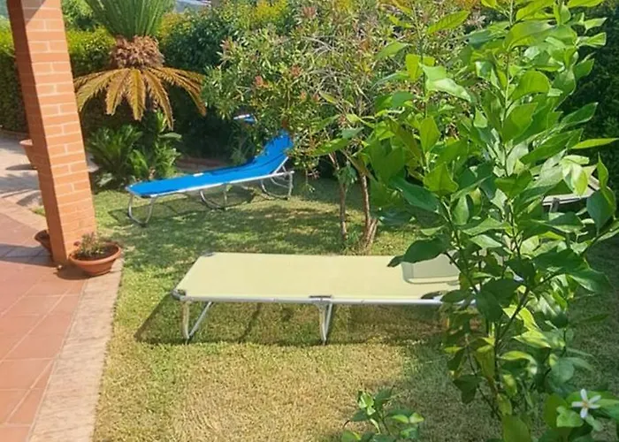 דירה - Rose פיצו