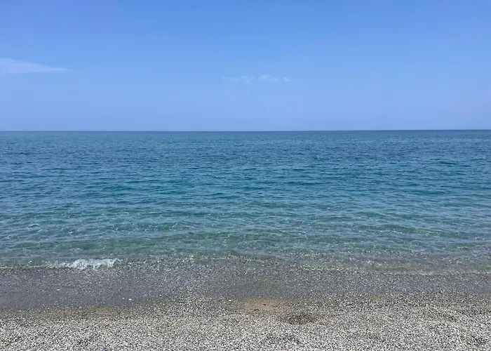 - Rose דירה פיצו