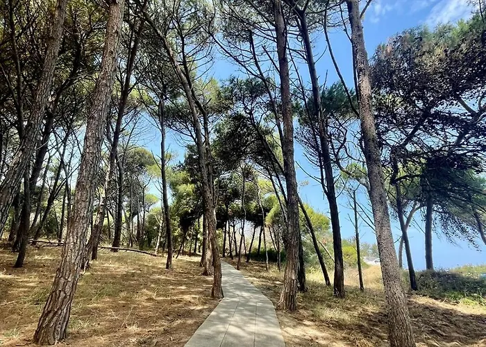 דירה - Rose פיצו